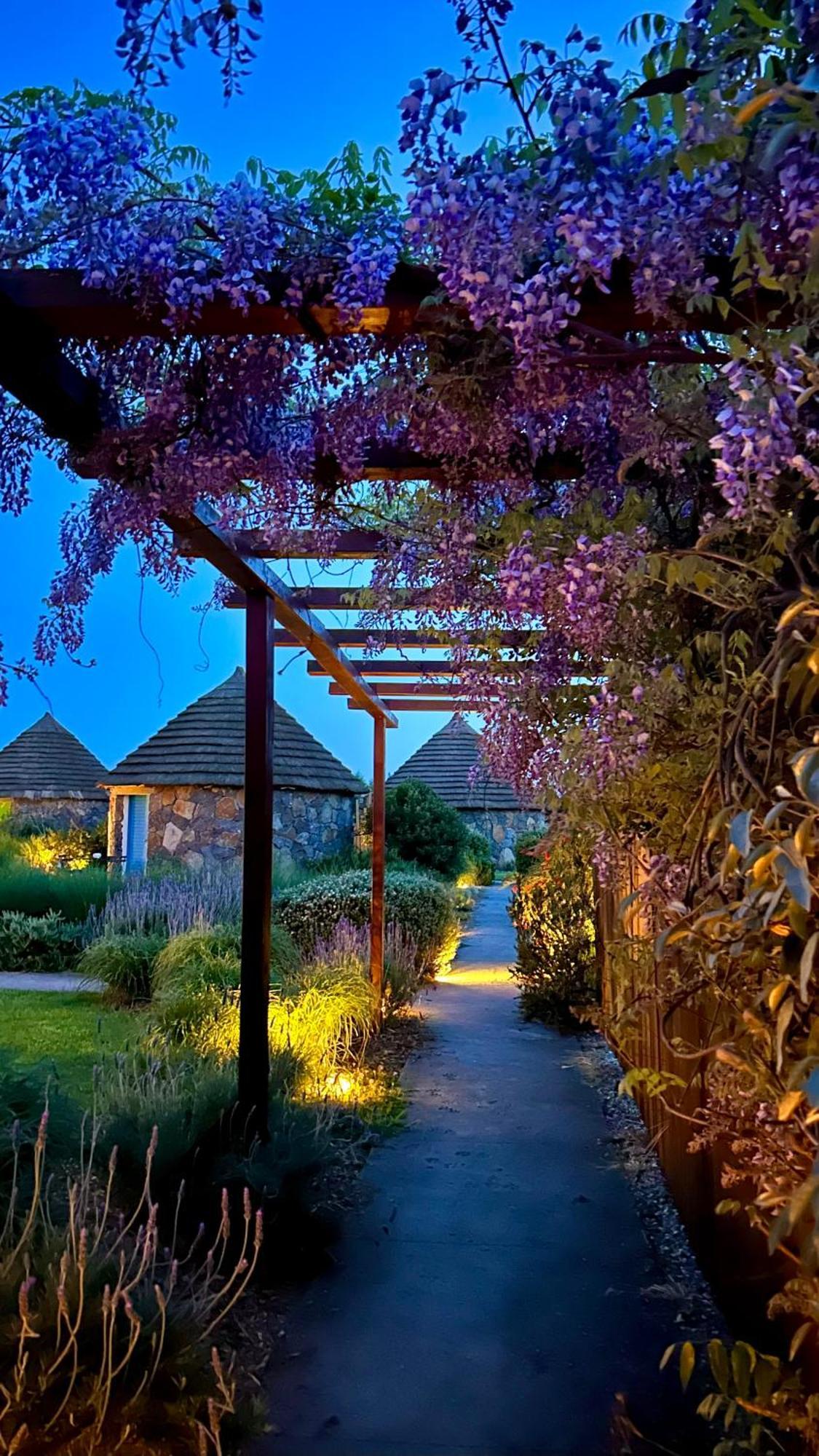 Is Cheas Wine Farm Boutique Hotel San Vero Milis Exterior photo