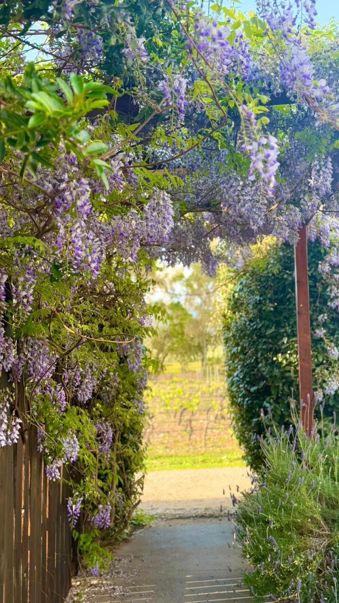 Is Cheas Wine Farm Boutique Hotel San Vero Milis Exterior photo